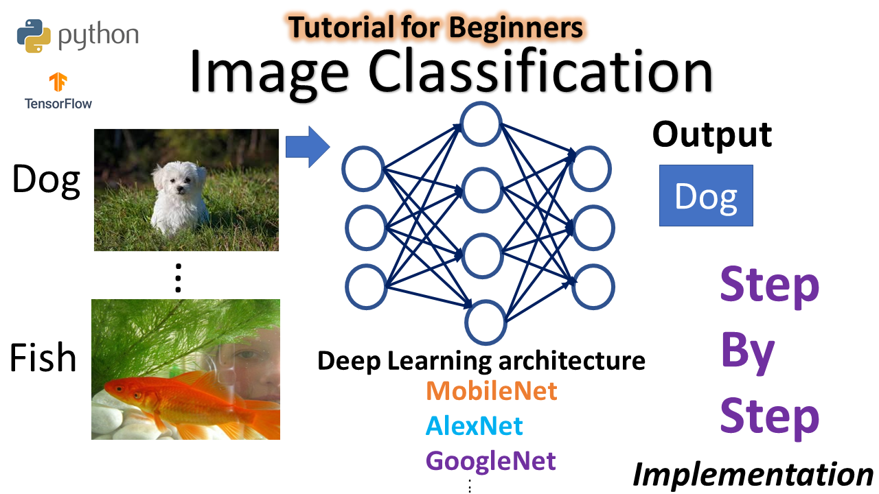 Image Classification